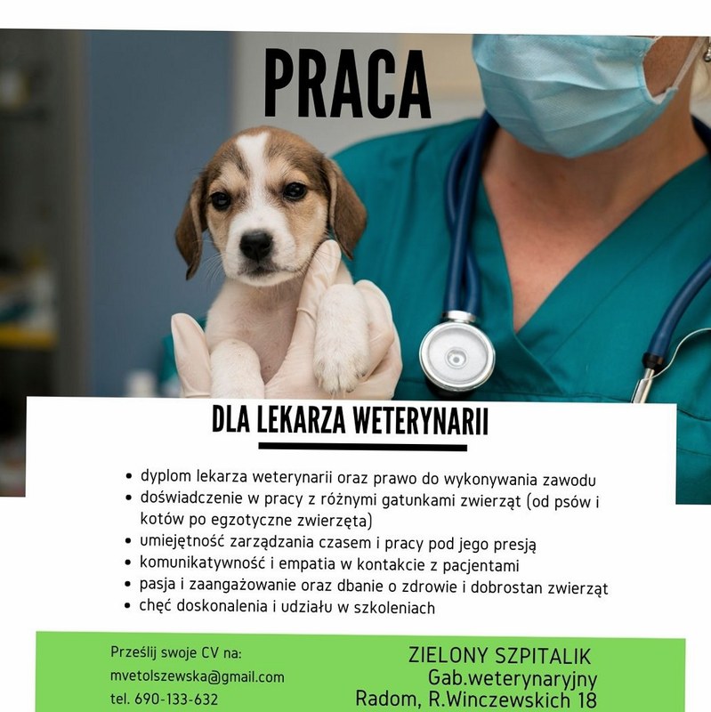 Piesek u weterynarza