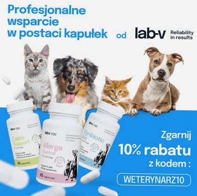 Ewa-Charchut-lek-wet05