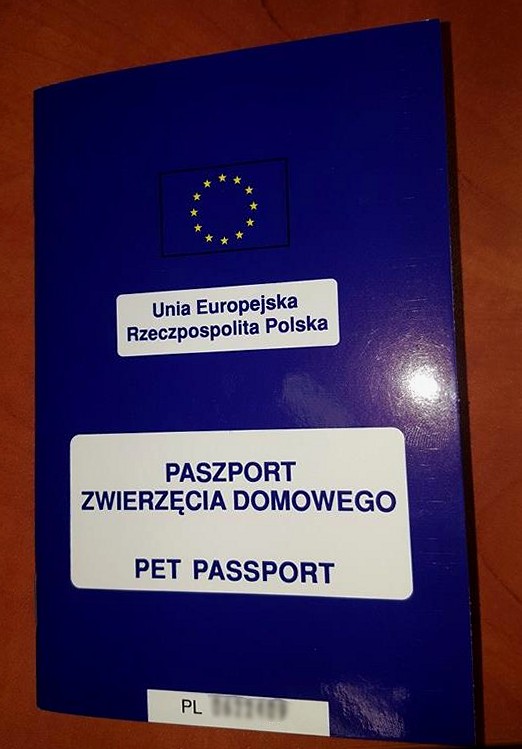 paszport dla zwierząt